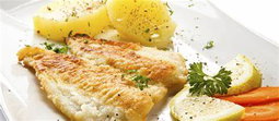 Fish
