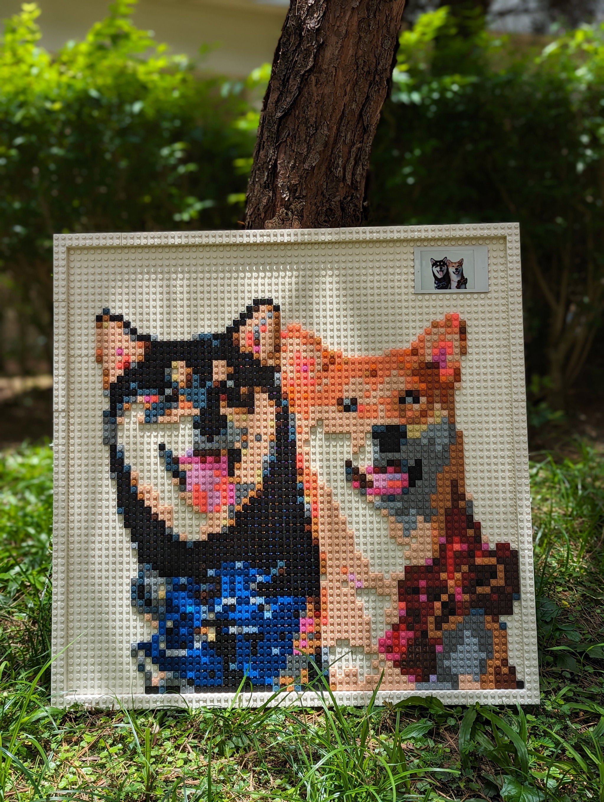 Assembled - Large_1