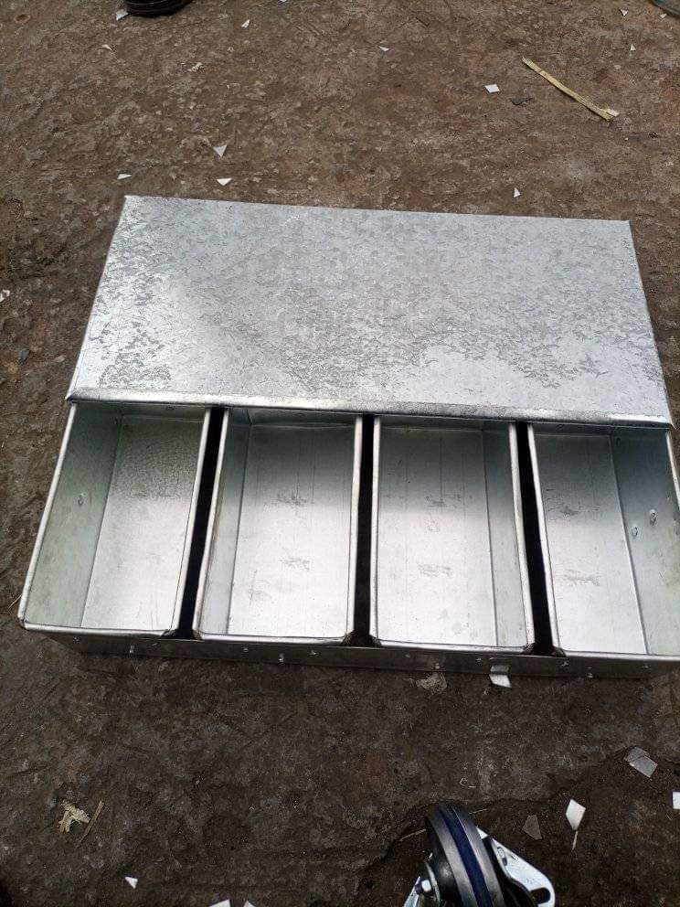 bread mould family_4