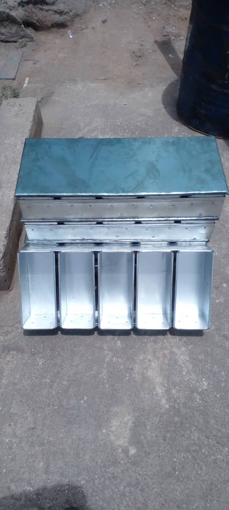 bread mould family_1