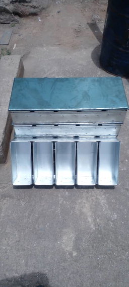 bread mould family
