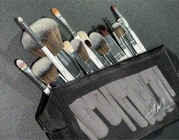 Kit de 16 Pinceaux 