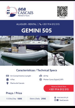 GEMINI WR 505
