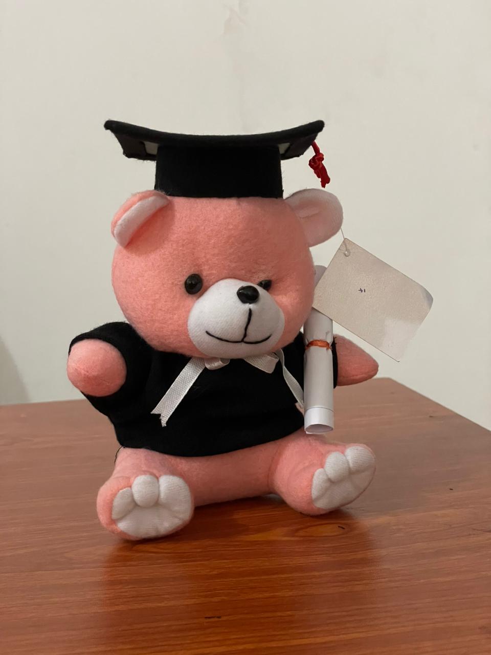 Cute Graduation Bear_0