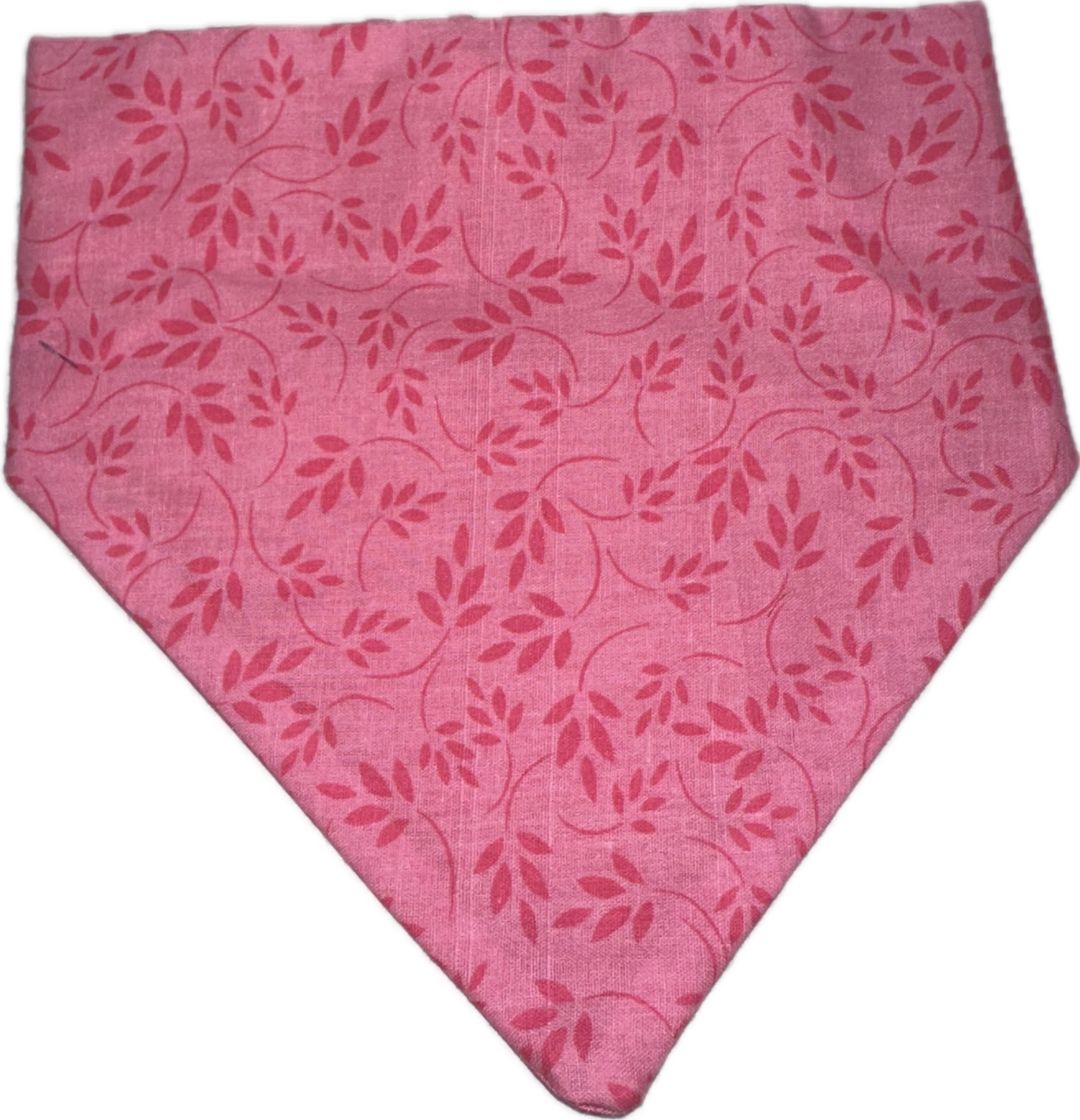 Bandana_0