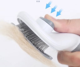 Brush