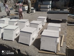 Swarm box