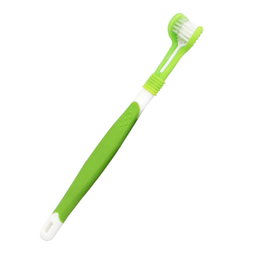 Toothbrush