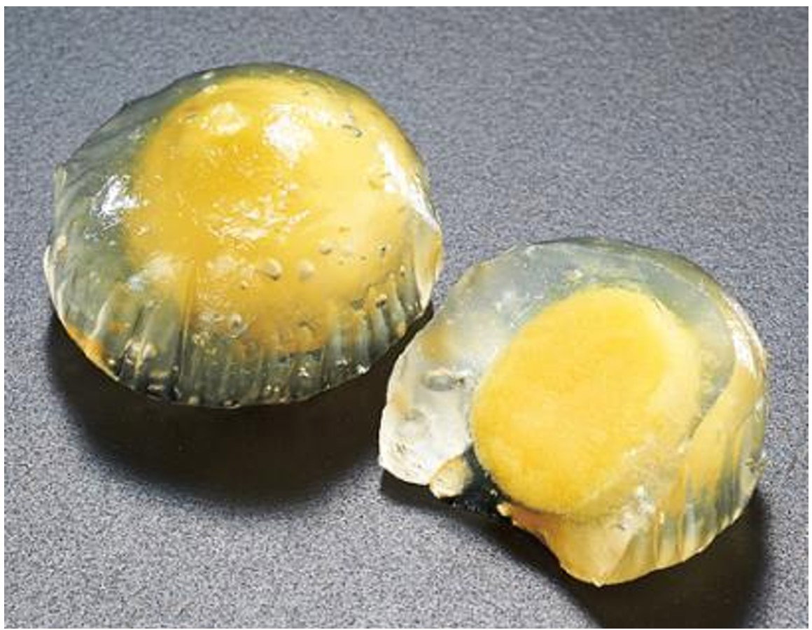 19092 - Setouchi Lemon Kuzomochi 20pcs*20g_0