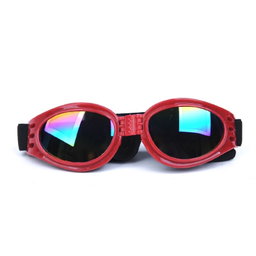 Glasses Small Dogs