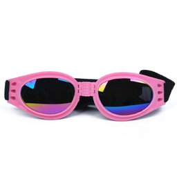 Glasses Small Dogs