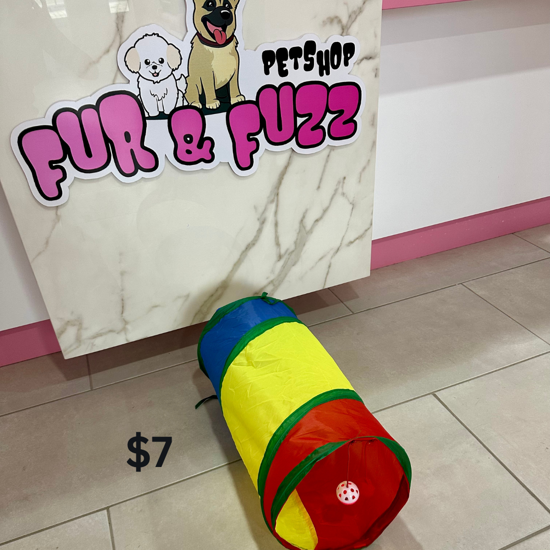 Cat Playing Tunnel