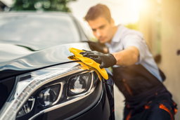 Vehicle Cleaning