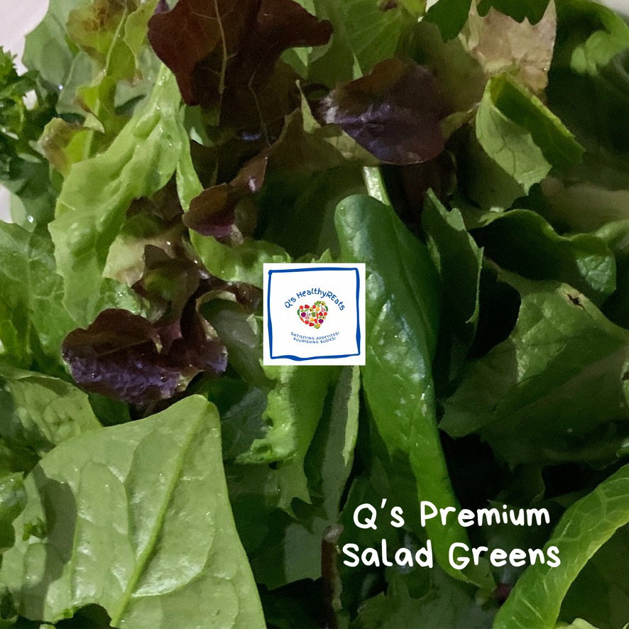 Q's Premium Salad Greens_0