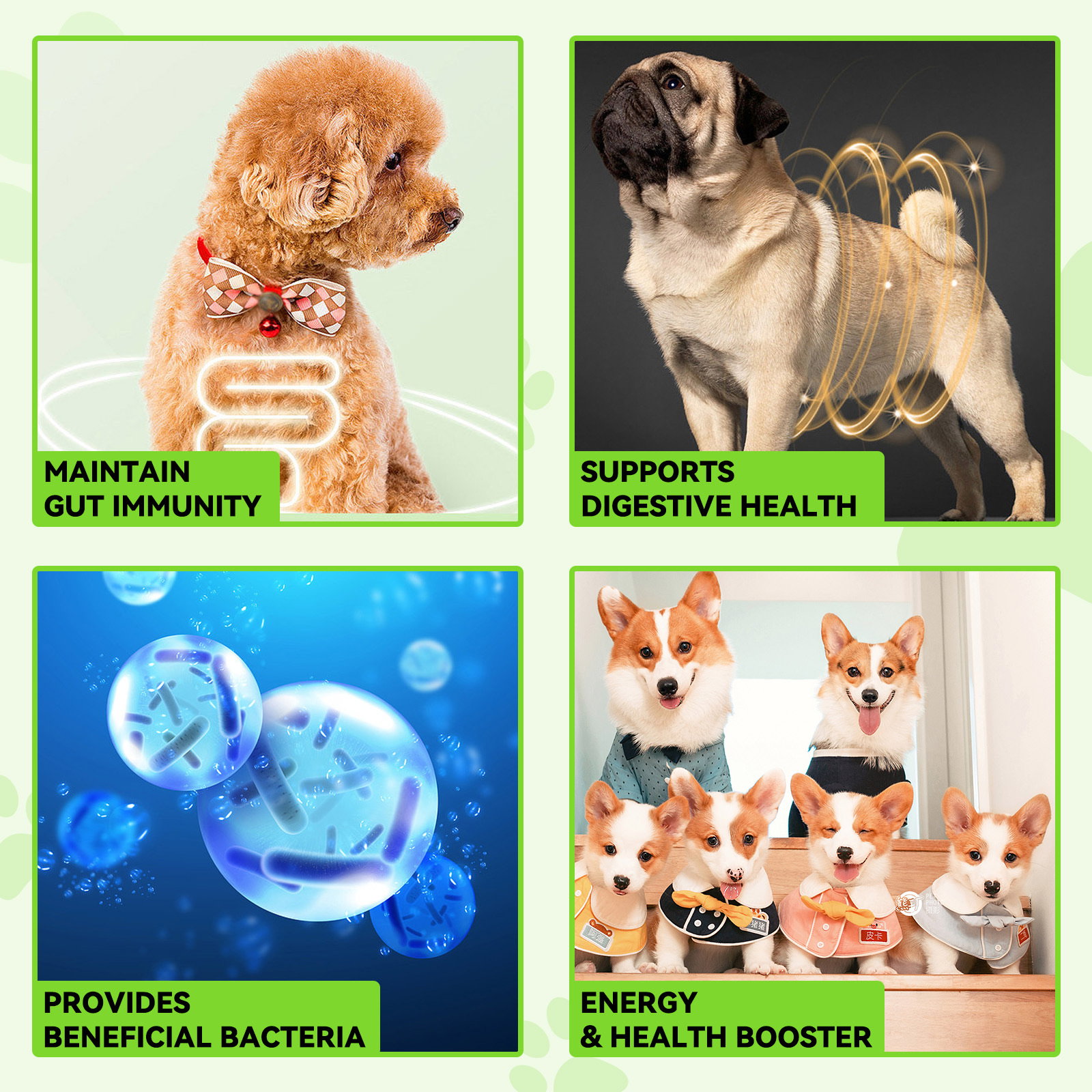 3 in 1 Probiotic Drops_3