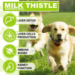 Milk Thistle Drops