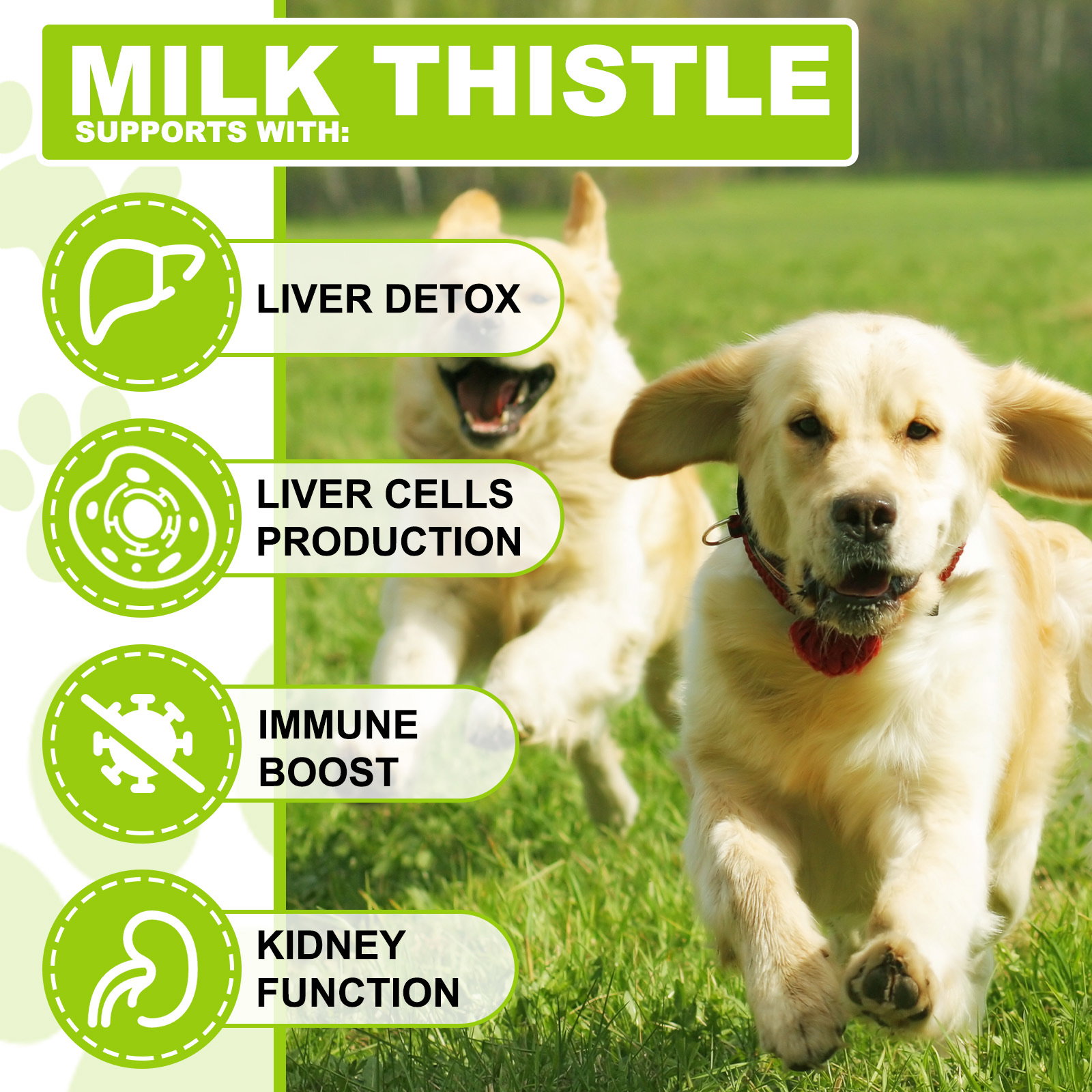 Milk Thistle Drops_2