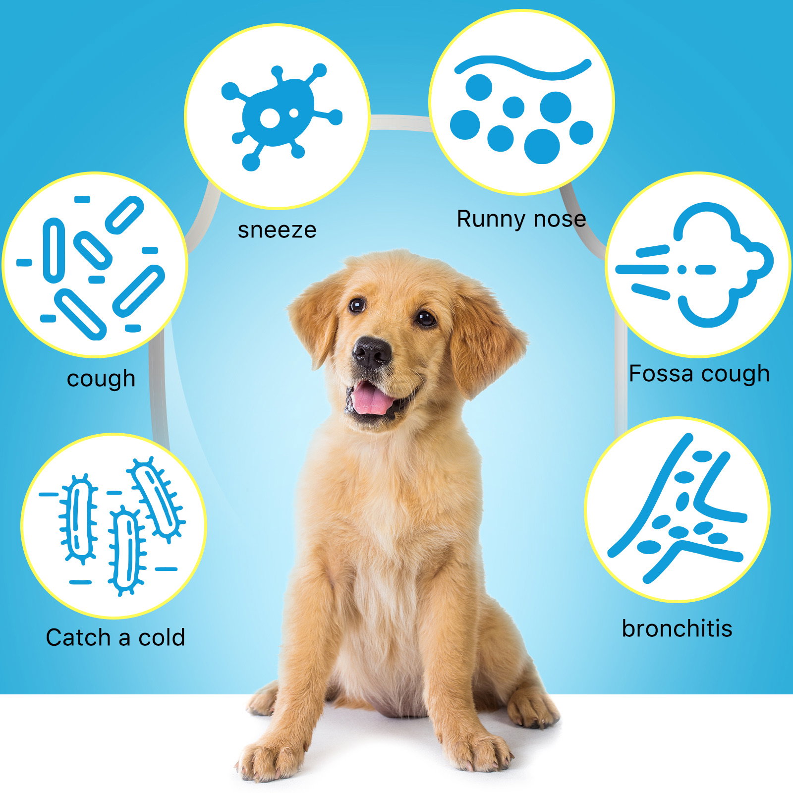 Kennel Cough Drops_2