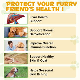 Allergy & Immune Drops