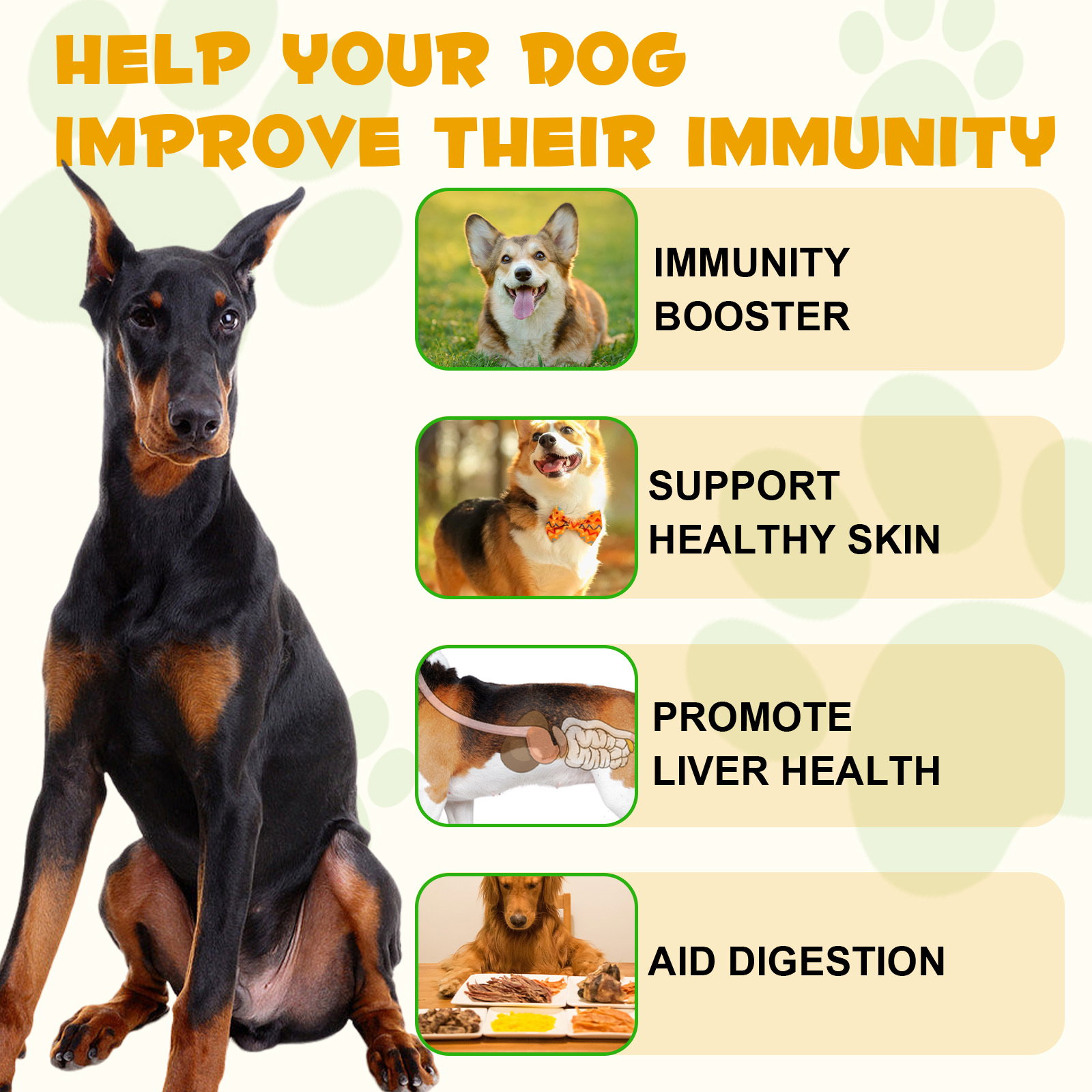 Allergy & Immune Drops_2