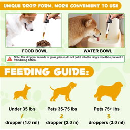 Allergy & Immune Drops