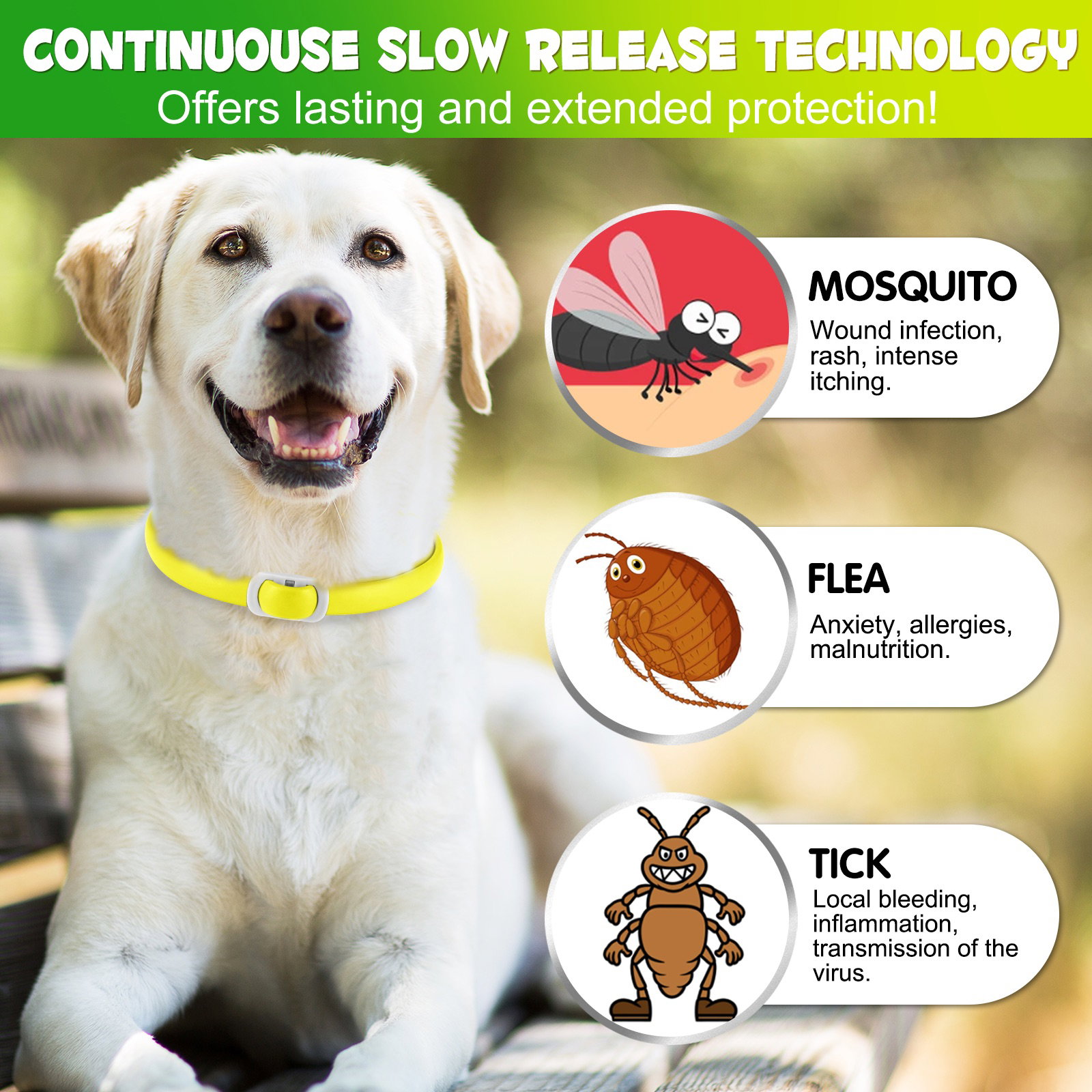 Flea and Tick Collar Dogs_4
