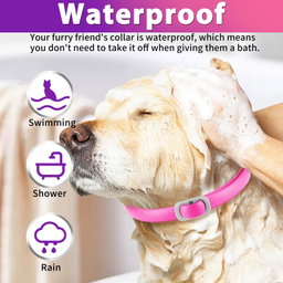Flea and Tick Collar Dogs