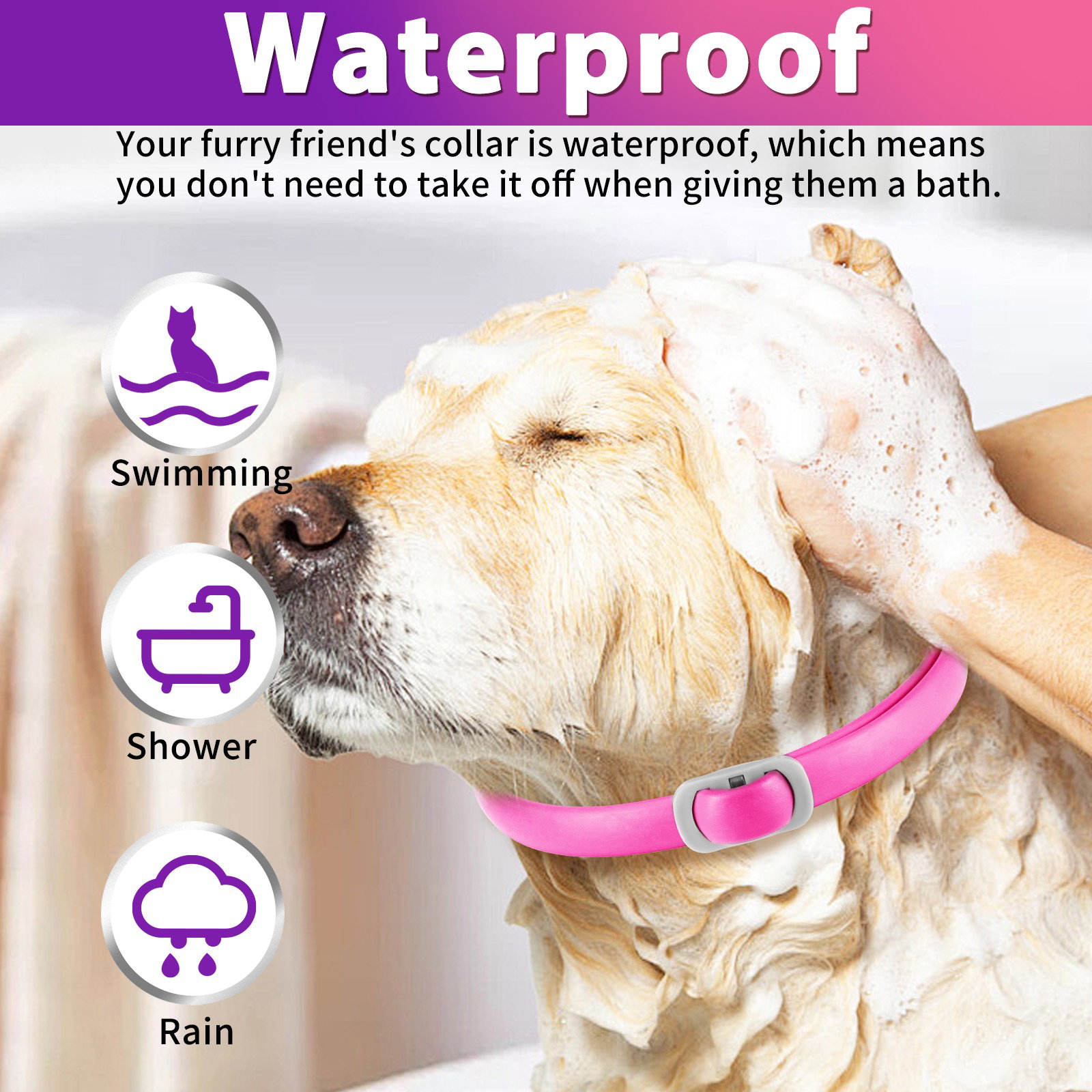 Flea and Tick Collar Dogs_5