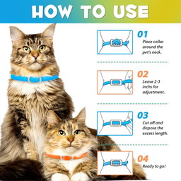 Flea and Tick Collar Cats