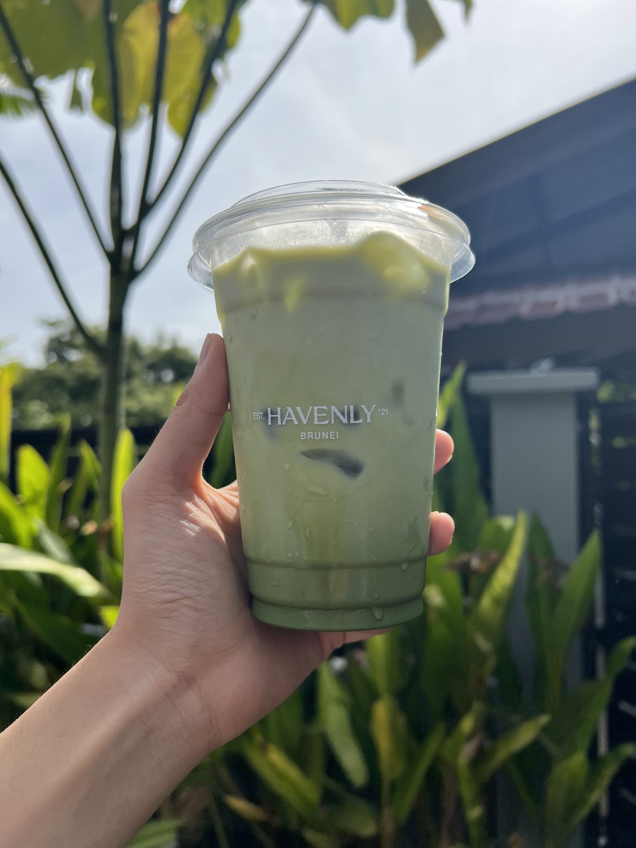 Holy Matcha!_0