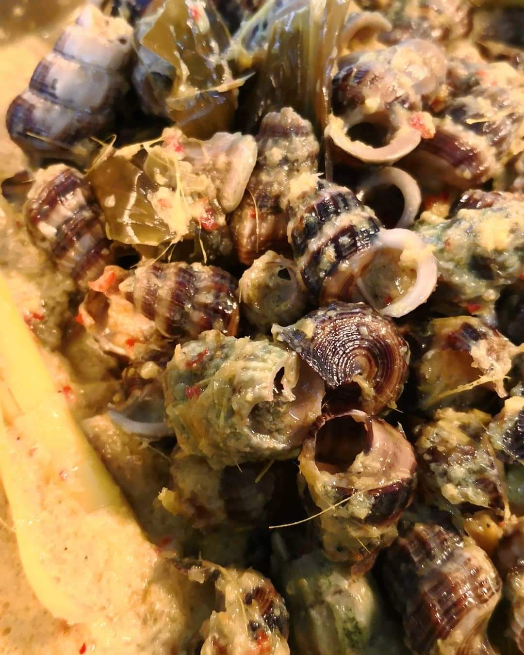 Lemak api siput sedut_0