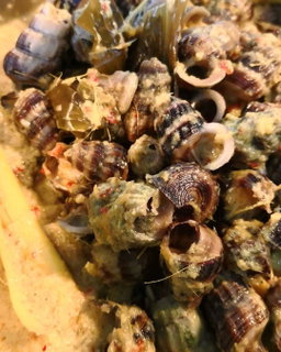 Lemak api siput sedut