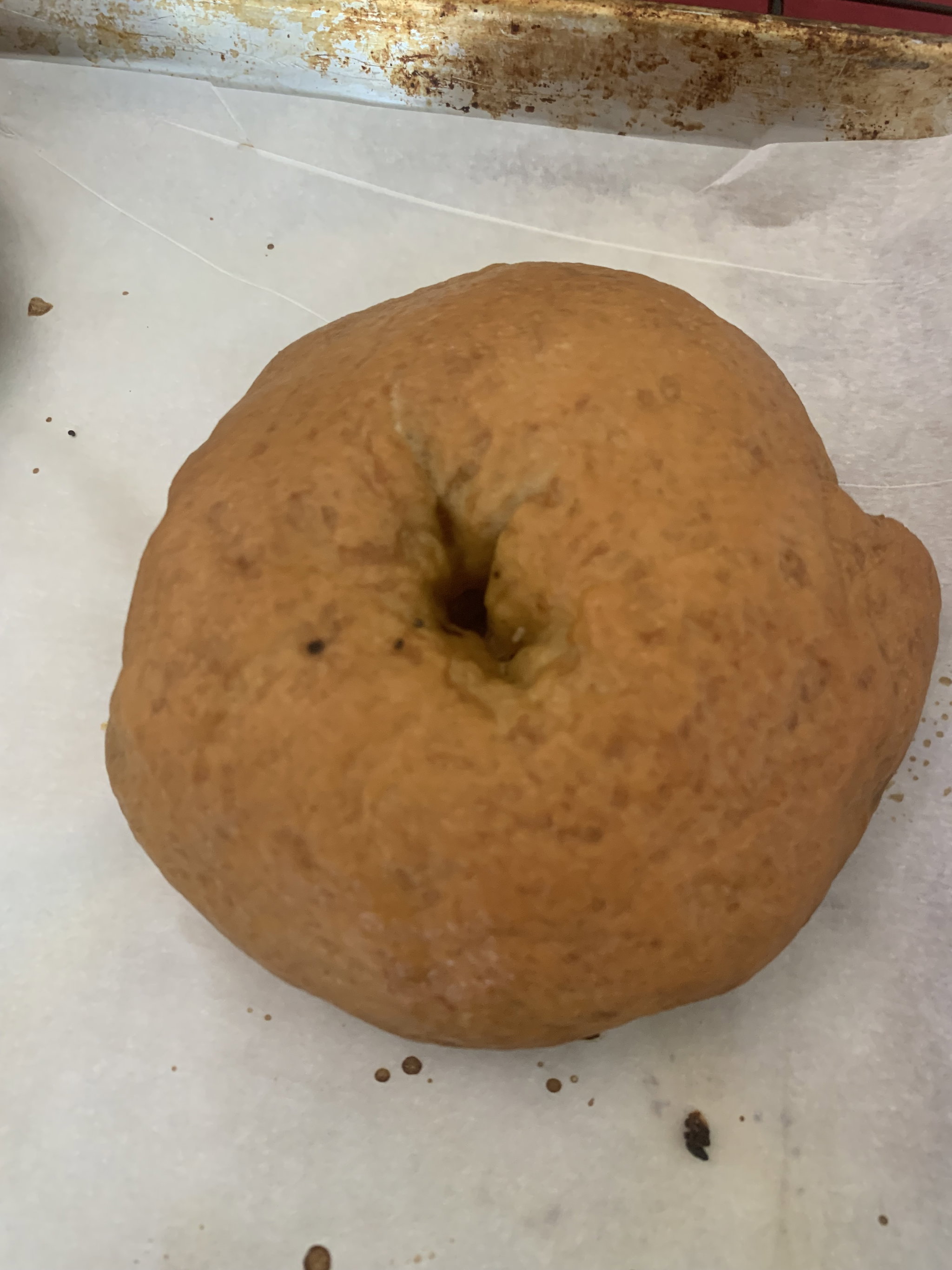 Bagel_0