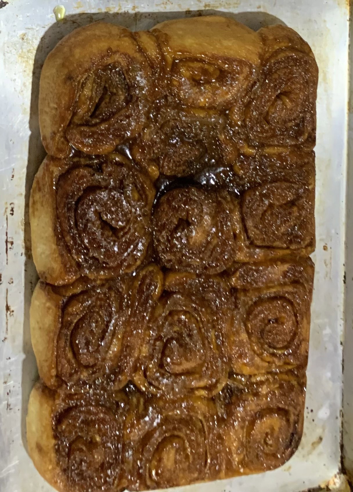 Cinnamon Roll_0