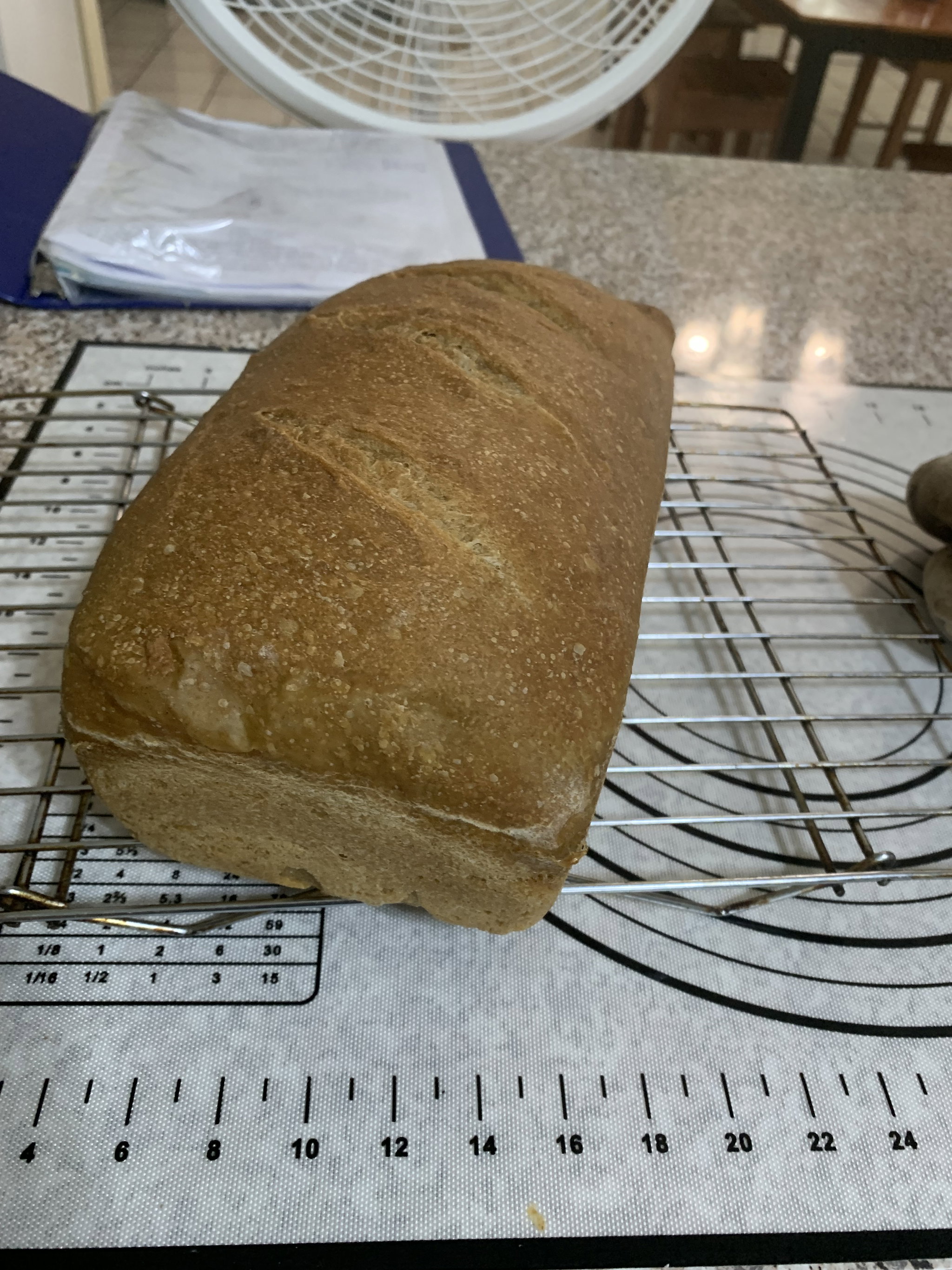 Sourdough Sandwich Loaf_0