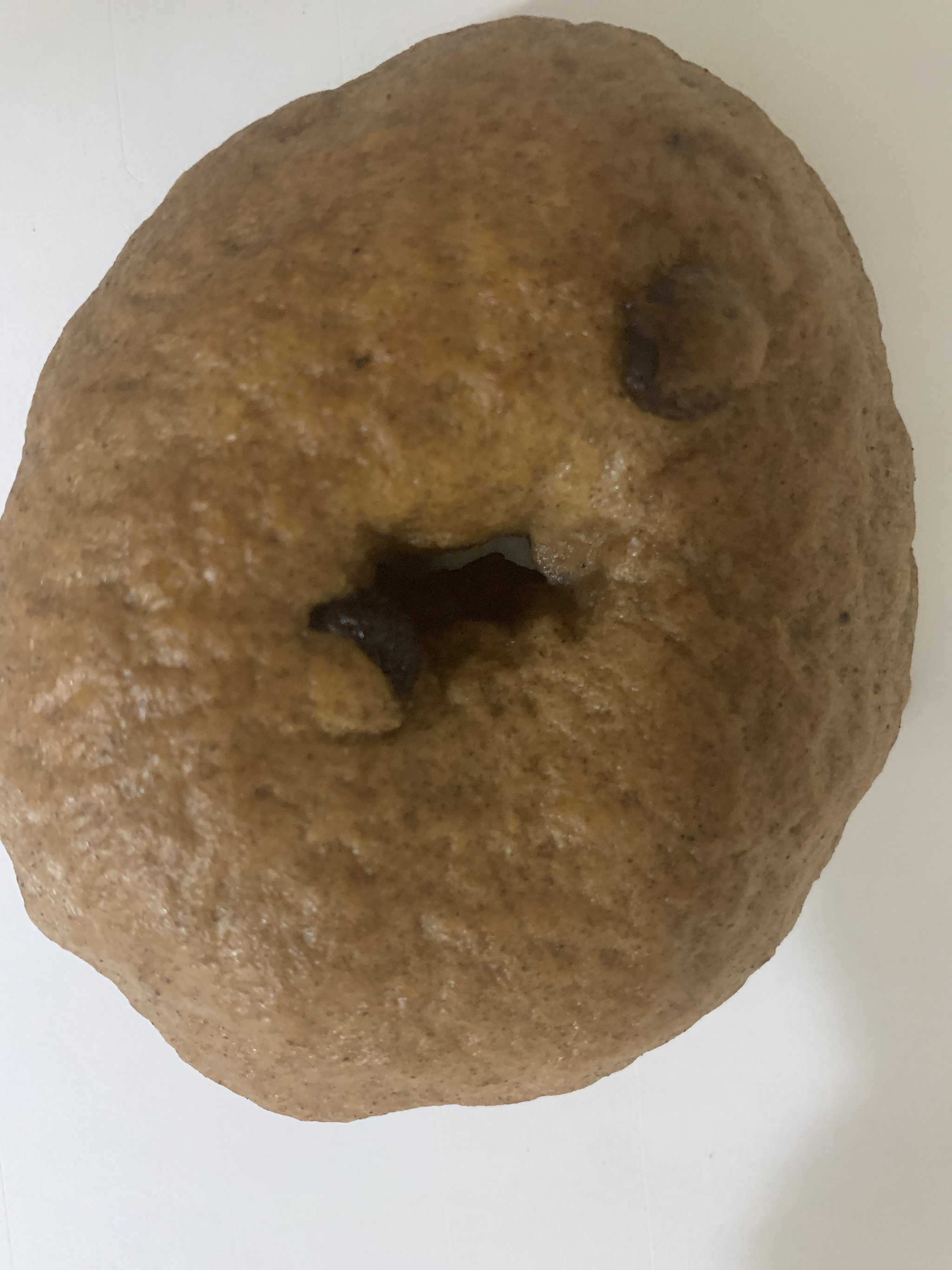 Bagel_2