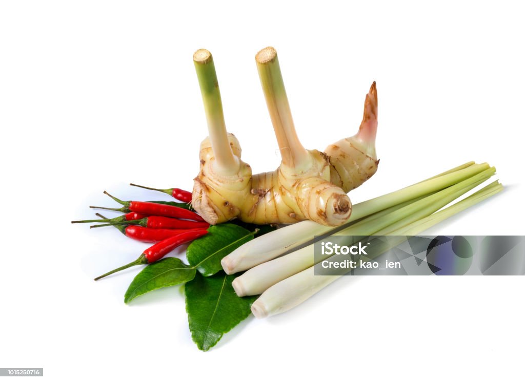 Tomyum Menu เมนูต้มยำ_4