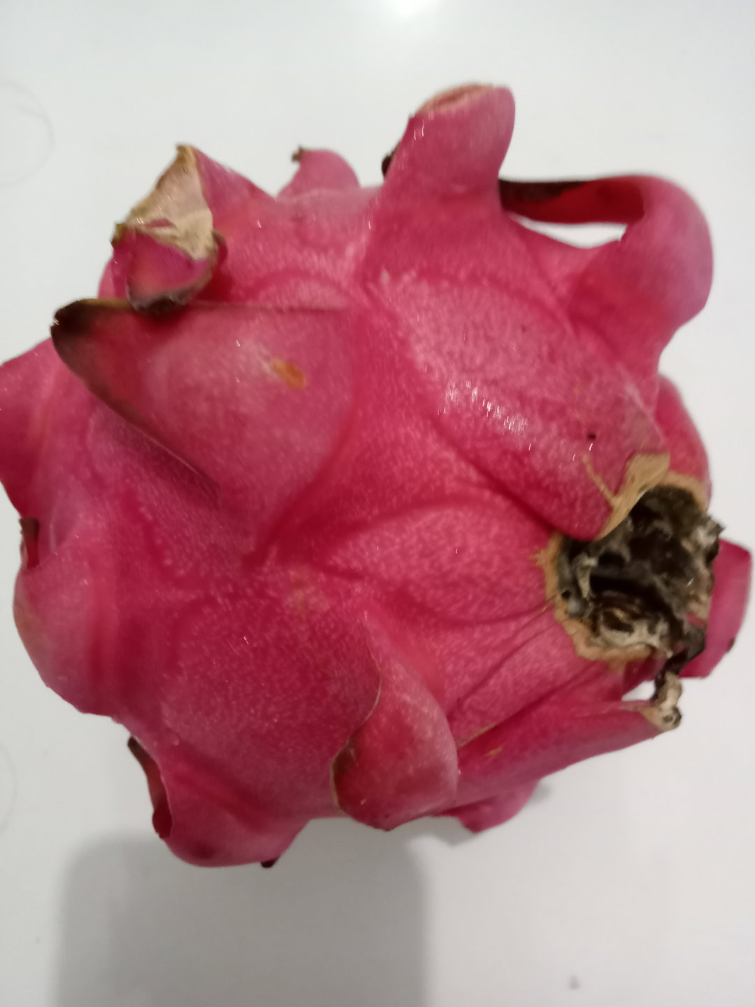 Buah naga merah