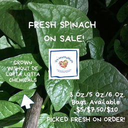 Our Fresh Produce!