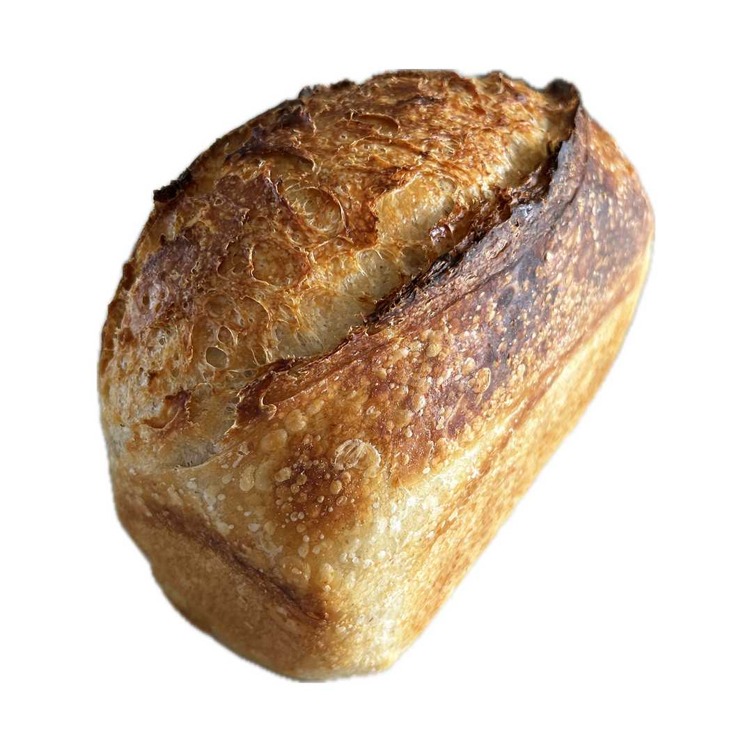 Country Plain Sourdough Loaf