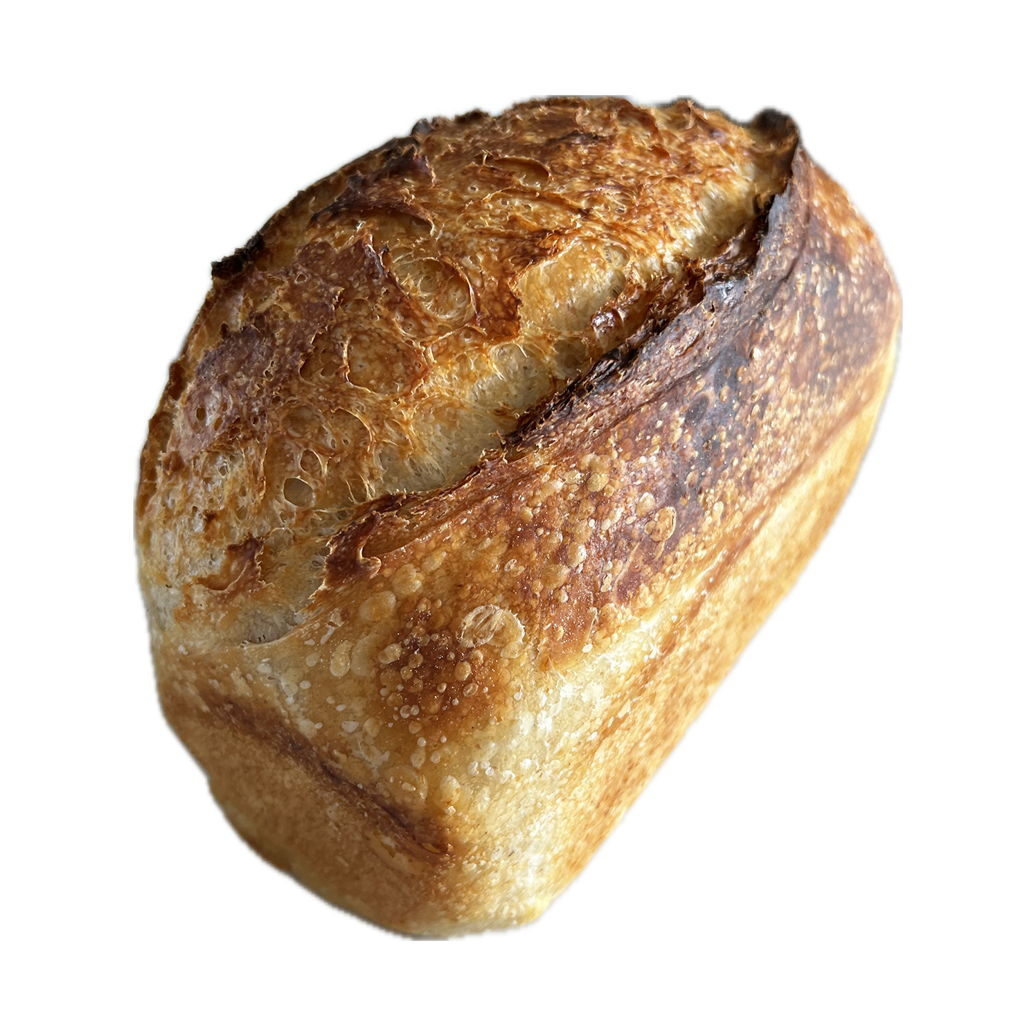 Country Plain Sourdough Loaf_0