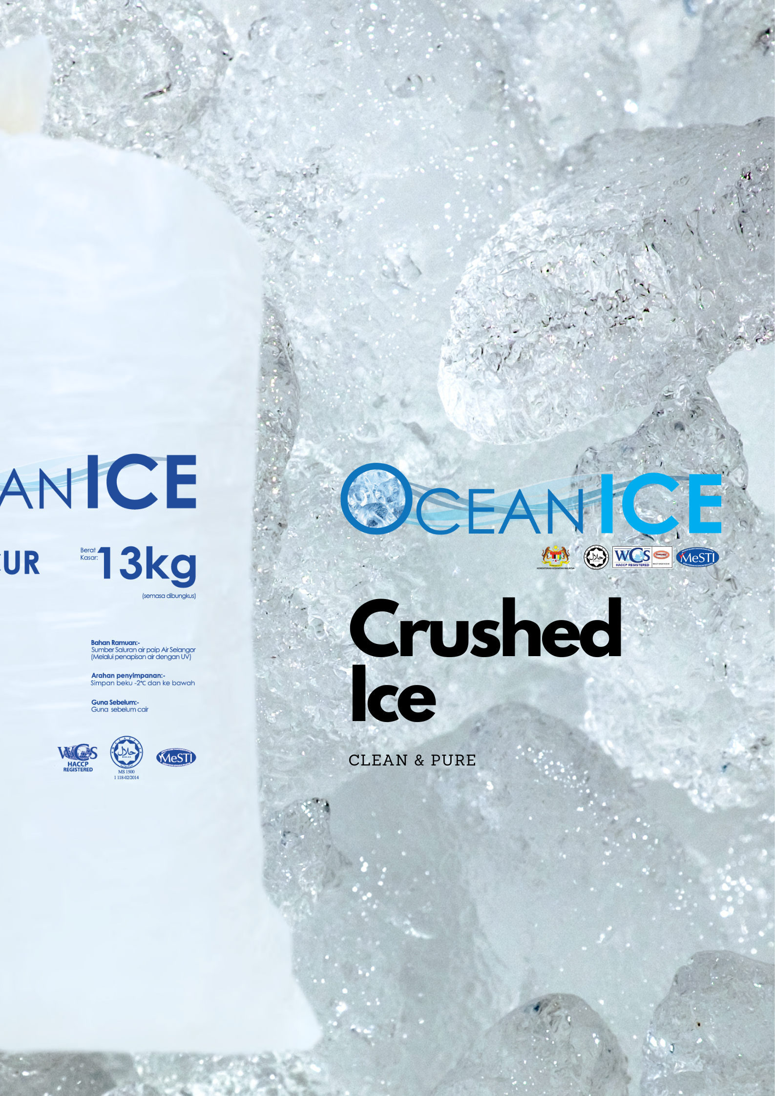 Edible Ice_1