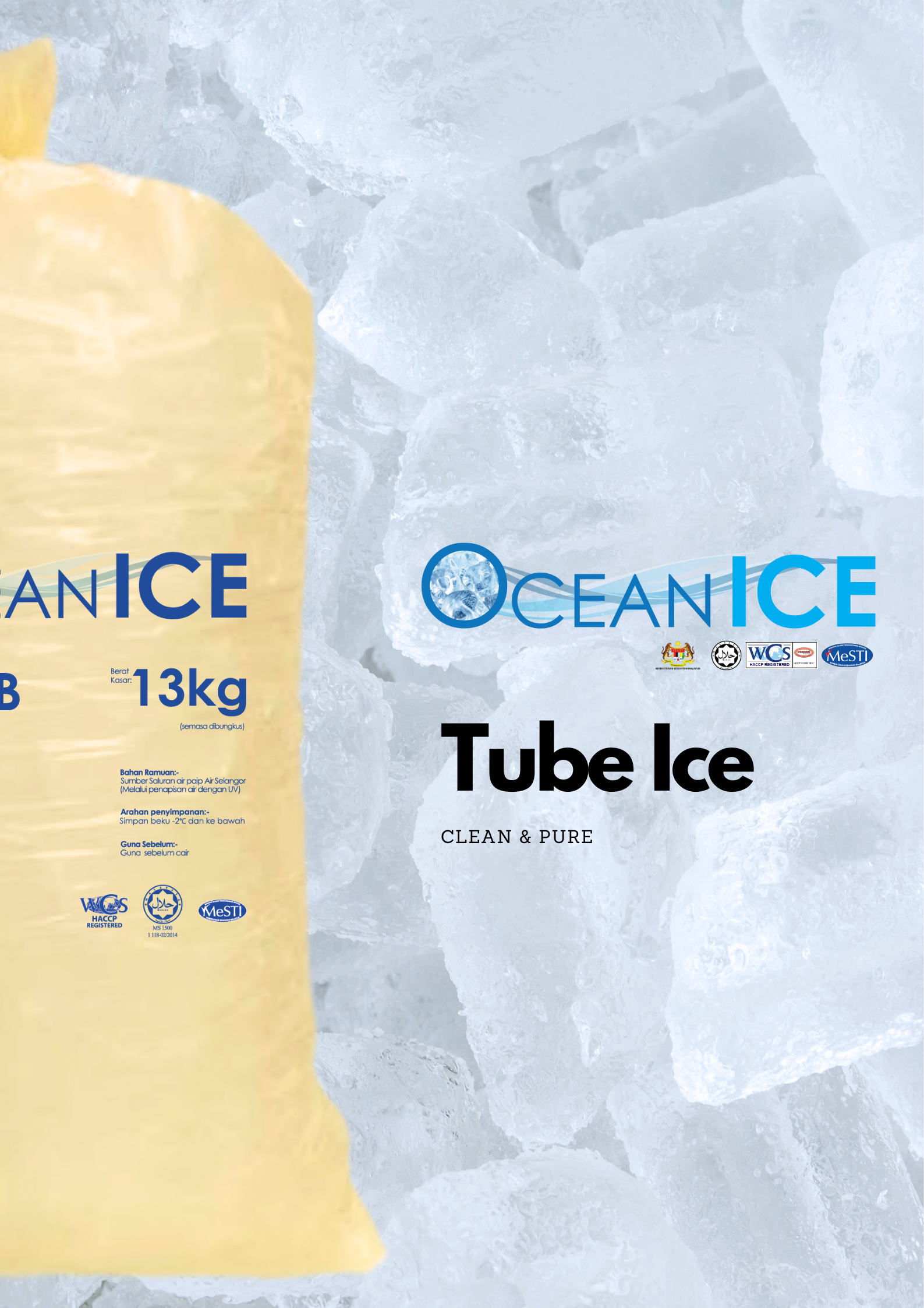 Edible Ice_0