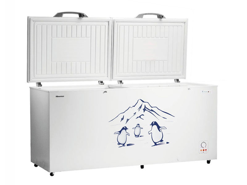 Hisense 660L chest freezer FC-66DT4SA_0