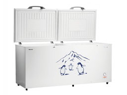 Hisense 660L chest freezer FC-66DT4SA