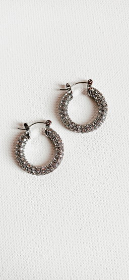 Shimmer Earrings
