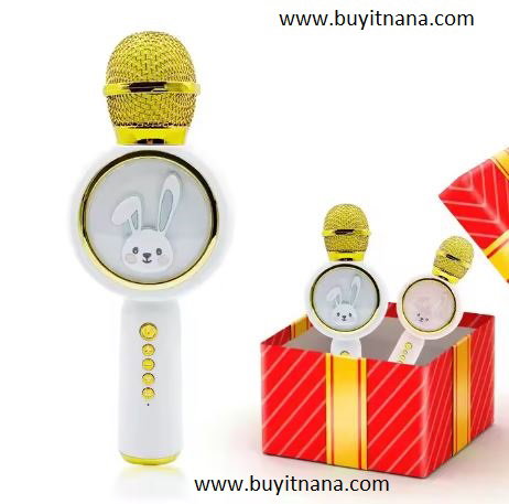 KARAOKE SPEAKER MICROPHONE (X6)