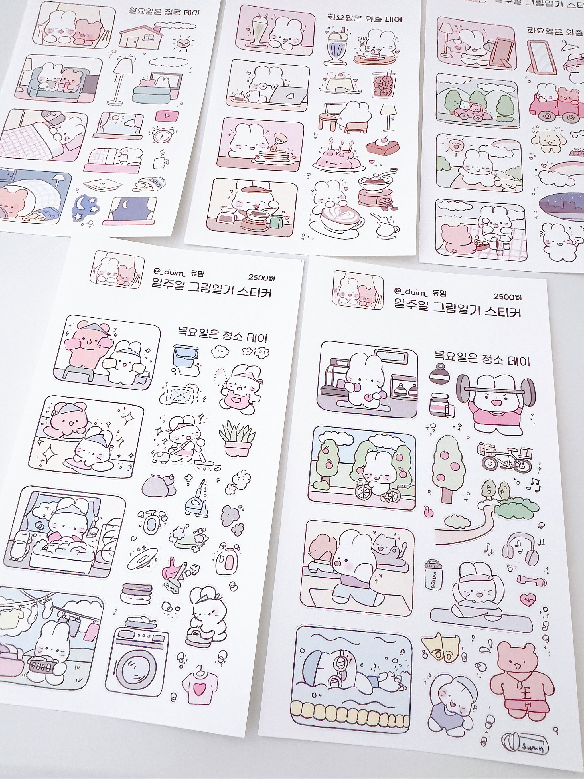 Bunny set_2