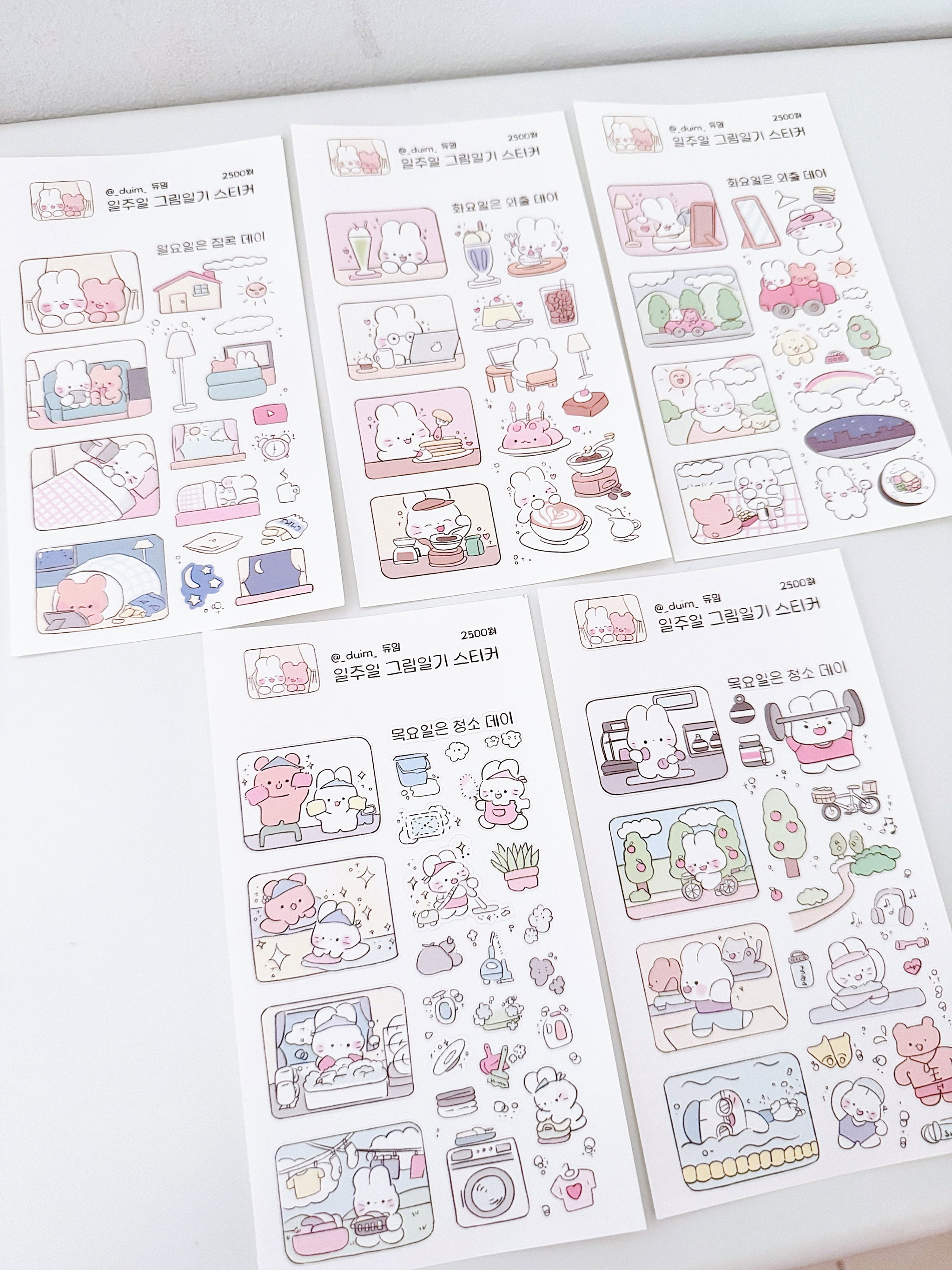 Bunny set_1