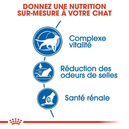 ROYAL CANIN - Chat Senior - Indoor 7+